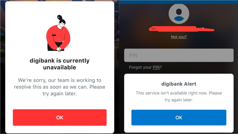 Lush Dbs Says Digital Services Restored After Access Was Disrupted Moment for Desktop